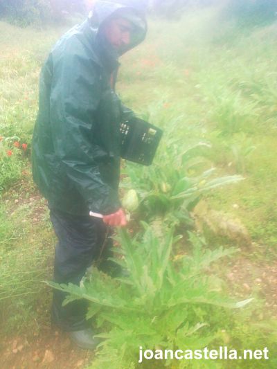 Joan Castellà Organic vegetables > <b>WHAT’S HAPPENING NOW?</b> > Farm work does not stop even if it rains