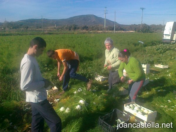 Verdures ecològiques Joan Castellà > <b>EL HUERTO</b> > Como está el tiempo!!!