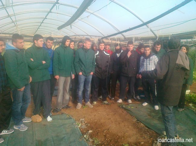 Verdures Ecològiques Joan Castellà > <b>NOTÍCIES</b> > Aquest dimecres 23 de gener 2013 hem tingut la visita dels alumnes de l´Escola Agrària d´Amposta